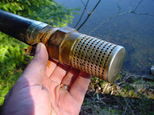 Hand holding brass water strainer near pond