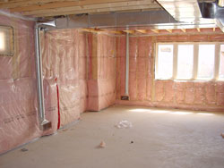 Unfinished basement with pink insulation.