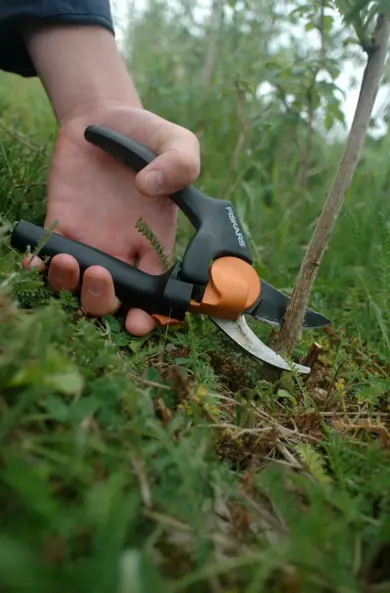 Fiskars Pruners Gardening Tool