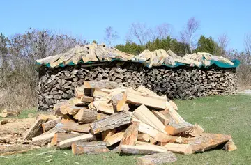 HEATING WITH FIREWOOD: Three Reasons It Makes Sense