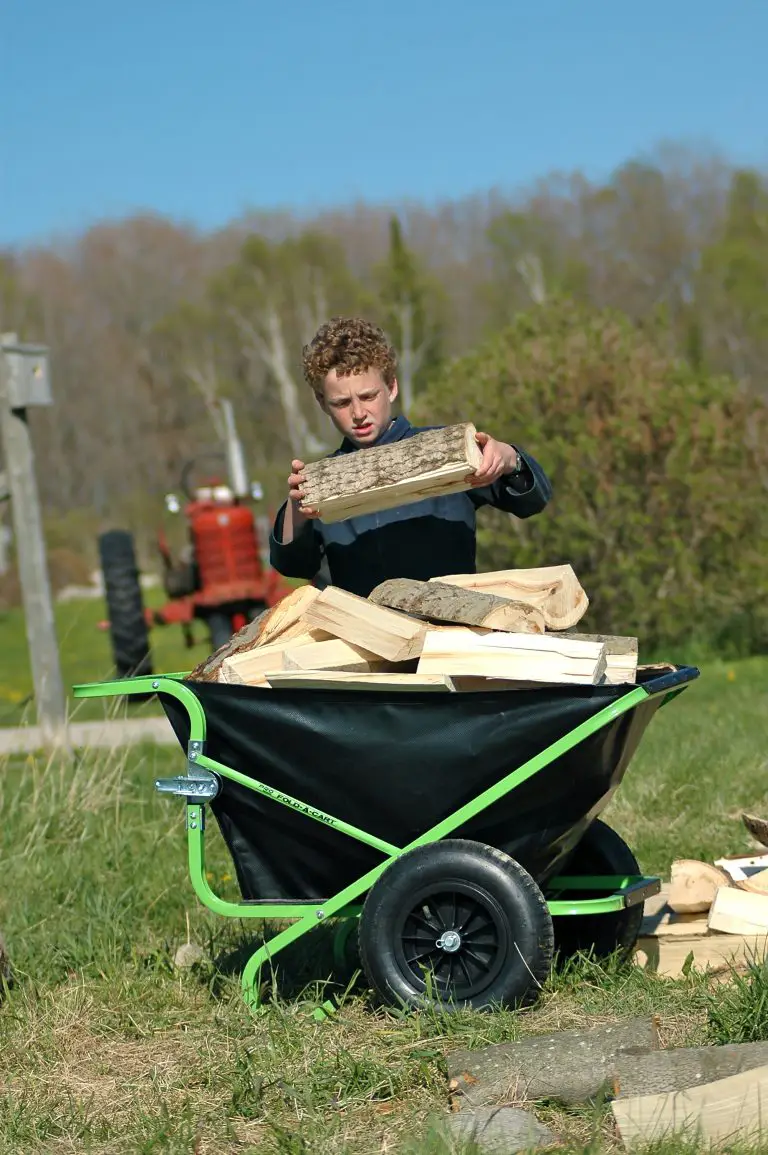 Person stacking firewood in a wheelbarrow outdoors.