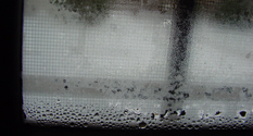 winter condensation build up on windows