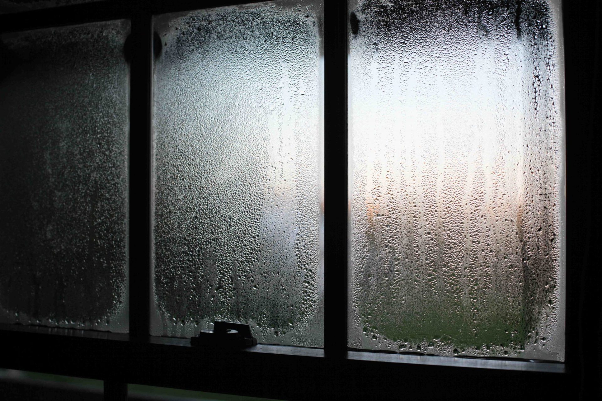 Indoor Mold and Poor Air Quality: Signs Your House Is Making You Sick