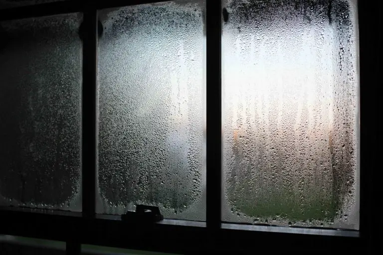 Dew-covered window reflecting dawn light.