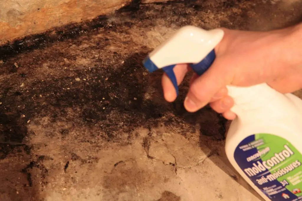 Spraying mould control on basement wall.