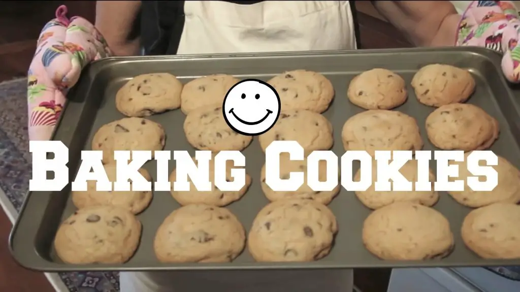 Tray of freshly baked chocolate chip cookies