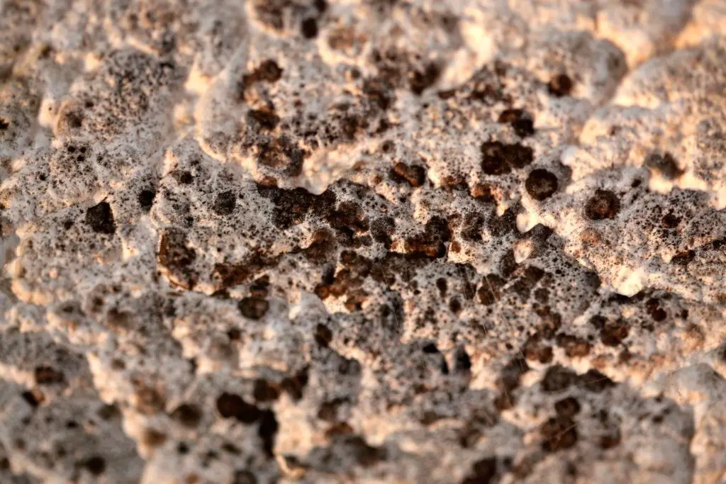 Close-up of textured stone surface with spots.