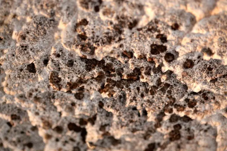 Close-up of textured stone surface with spots.