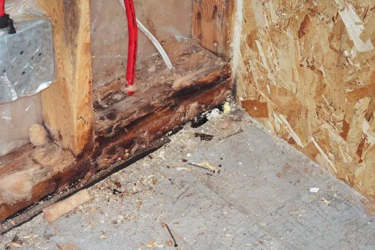 Wall with water damage and rotting wood visible.