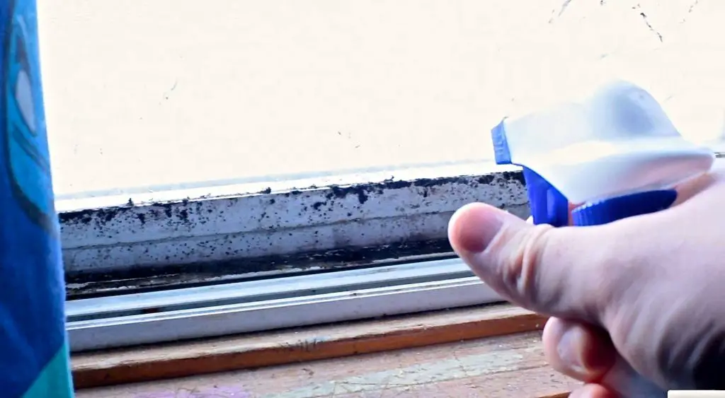 Cleaning window frame with spray bottle.