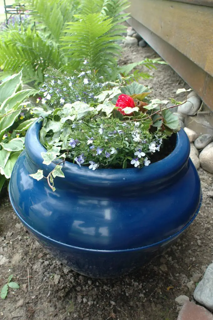 Blue ceramic pot with colourful garden flowers.