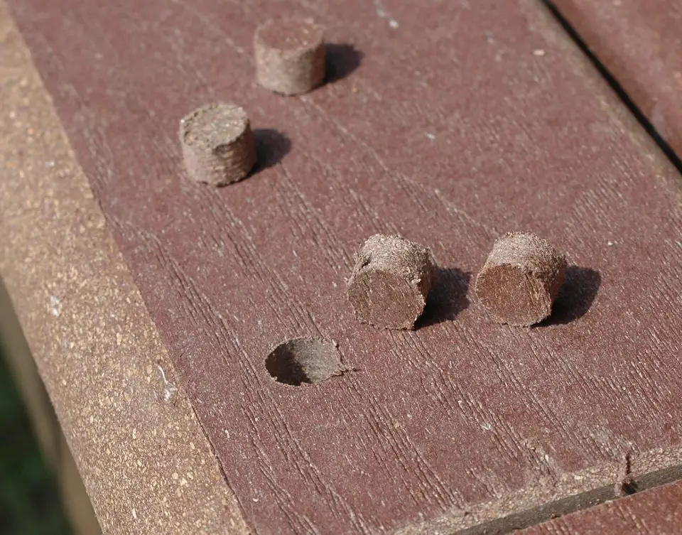 I cut these tapered plugs with a special bit in a drill press. Sized just right to fit the counterbored holes, they pretty much disappear when driven into place.