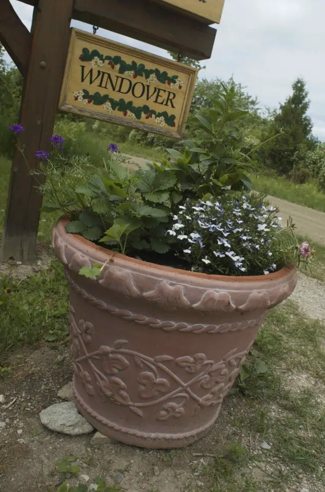 This freeze-hardy ceramic look-alike pot is actually made of dense foam. It looks more than real enough, but it doesn’t crack even if left outside in winter full of soil.
