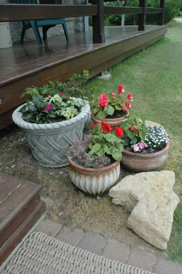 Only the big pot on the left can go through a Canadian winter filled with soil without breaking. The others are all clay and must be emptied or stored above freezing.