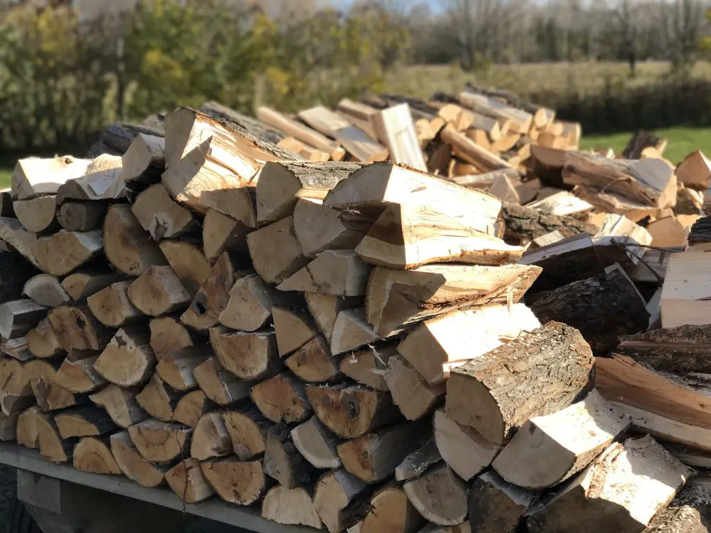 Stack of chopped firewood outdoors in sunlight.