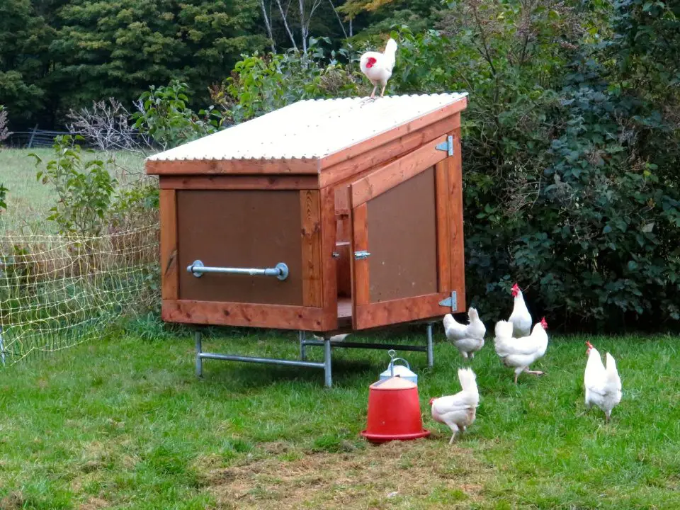chicken coop