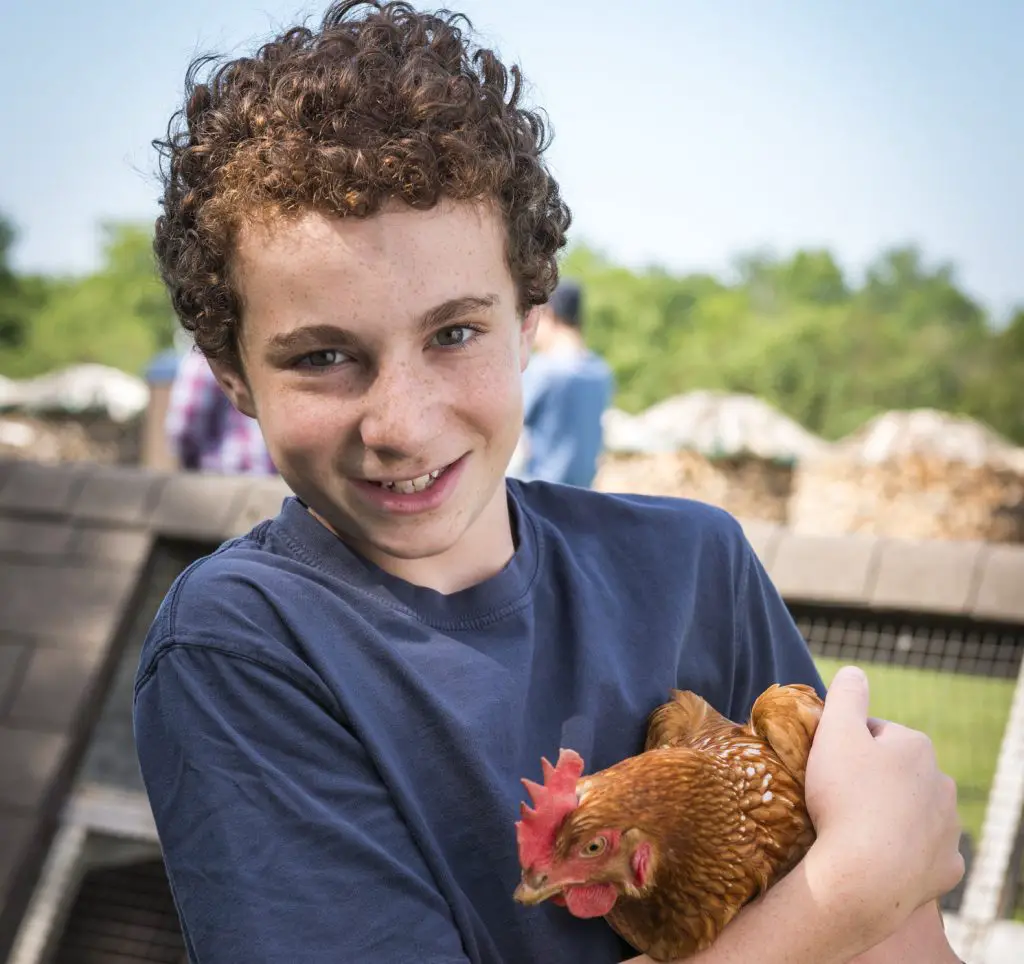Boy smiling, holding a chicken outdoors.