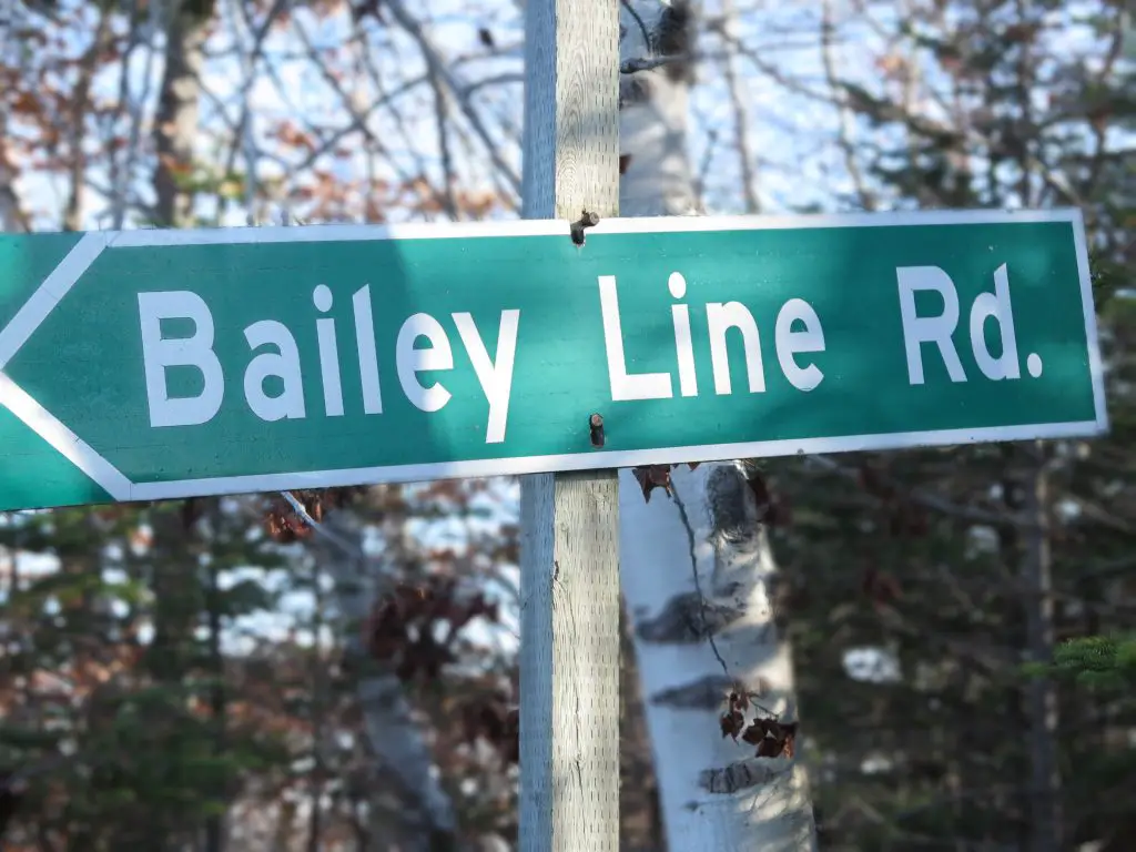 Bailey Line Rd sign in forest setting.