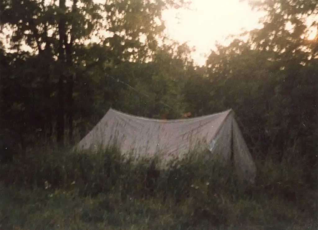 Canvas tent in grassy woodland area.