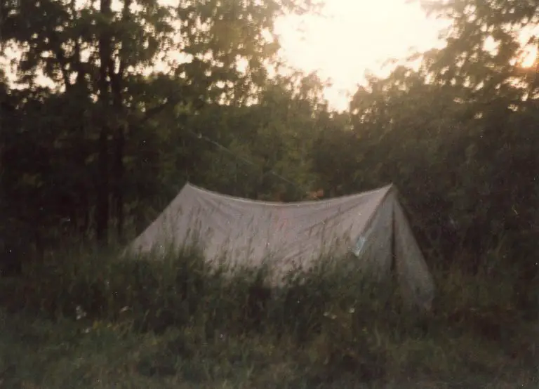 Canvas tent in grassy woodland area.