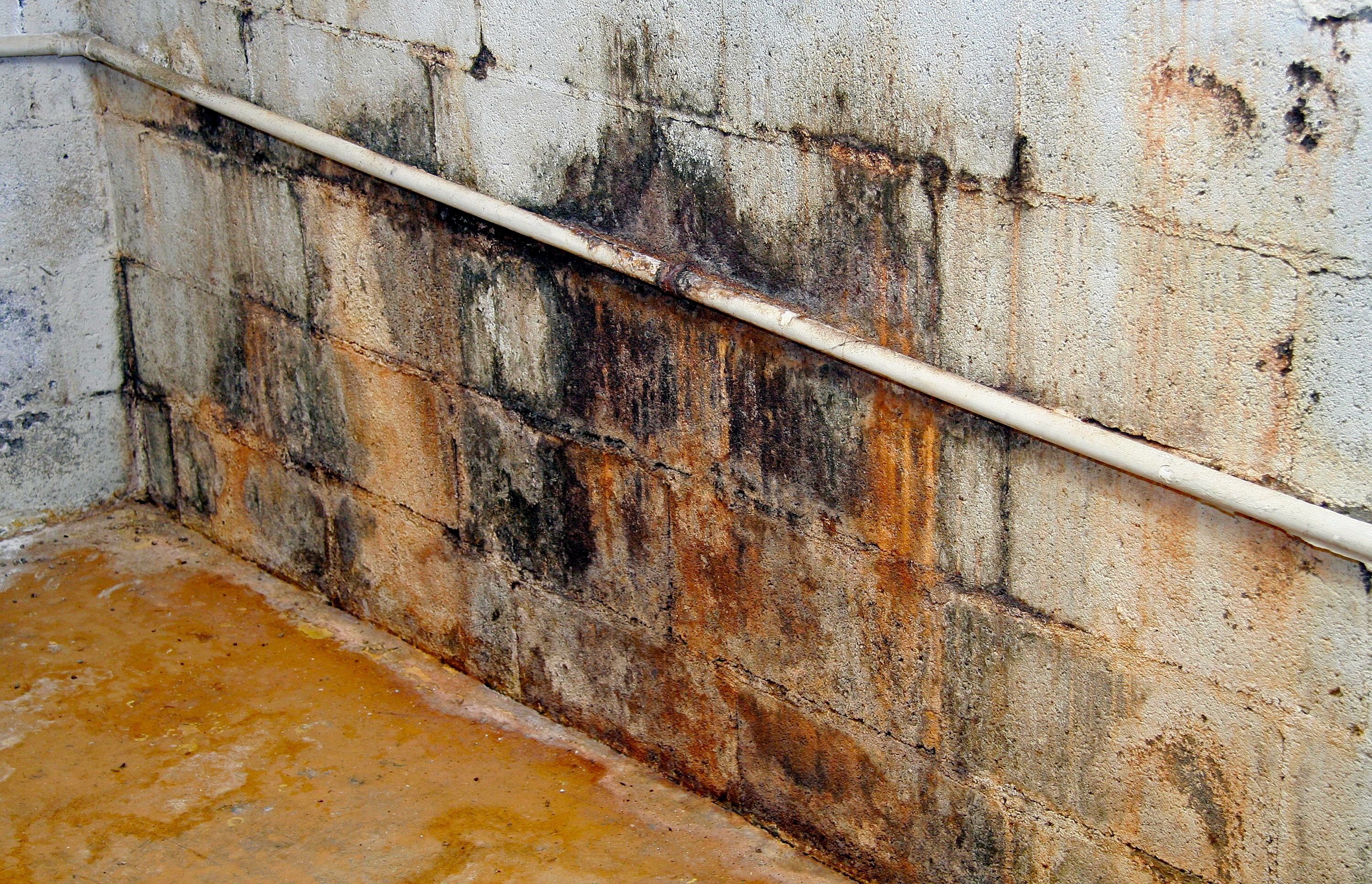Basement Insulation Mistake Be Sure To Avoid This 1 Problem - Mold On Walls In Basement