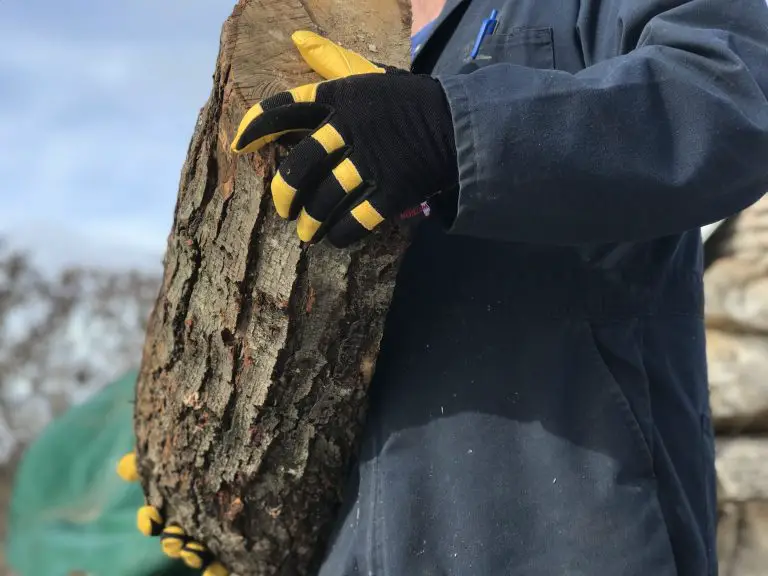 GLOVES GALORE: Canadian Company Celebrates 100+ Years of Great Gloves