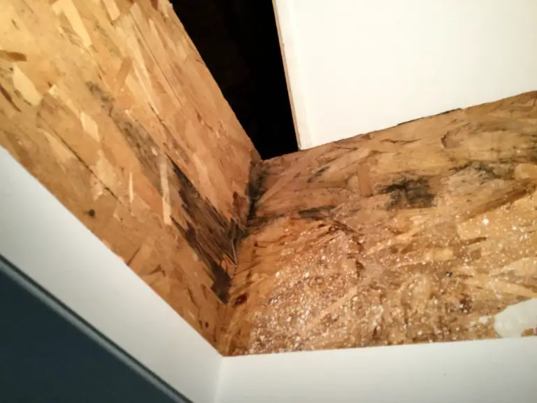 Q&A OF THE WEEK: “Why Is My Roof Leaking on a Sunny Day?”