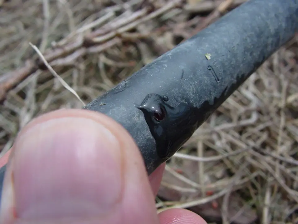 Here you can see water coming out of an emitter embedded within this trickle irrigation line. The best line has pressure compensating emitters so each hole lets out the same amount of water.