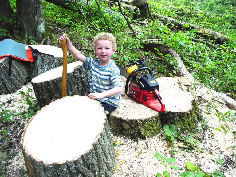 HEAT FROM THE FOREST: How to Turn Trees into Fuel the Right Way