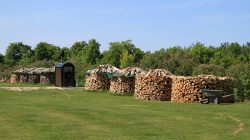 firewood round piles