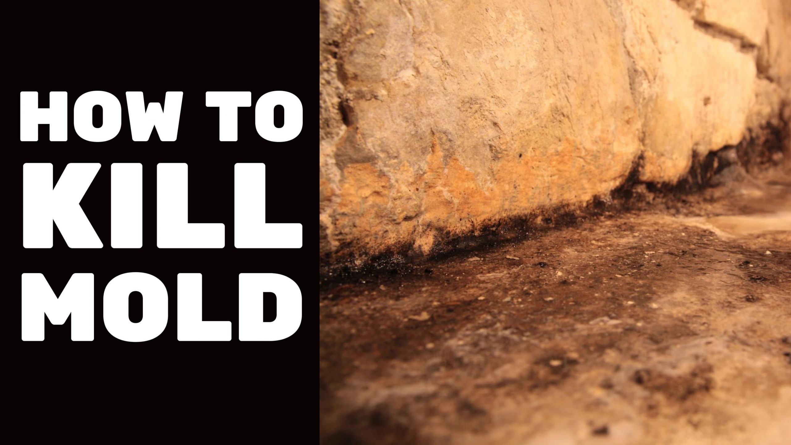 BASEMENT FINISHING COURSE VIDEO: How To Kill Mold