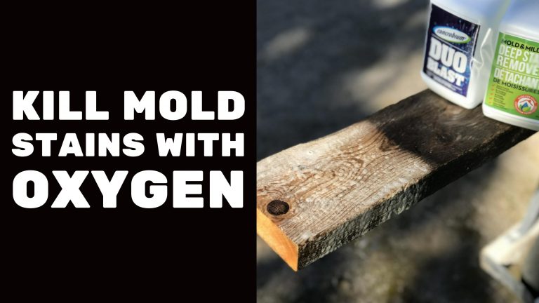 Remove mold stains with oxygen cleaner on wood.