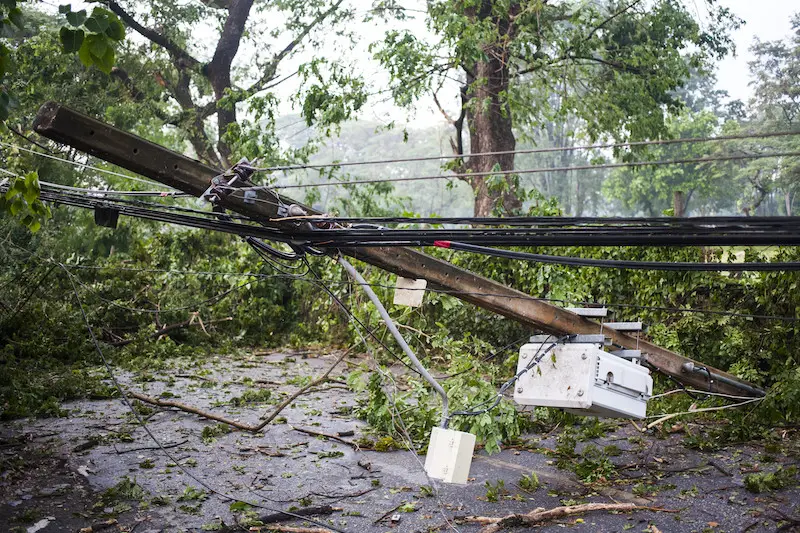 Fallen power lines after storm damage in forest area.