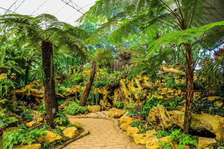How to Choose a Landscaping Contractor