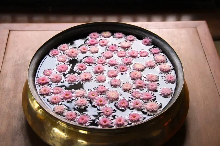 Floating pink flowers in large water bowl.