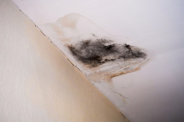 WET CEILINGS IN DRY WEATHER? Learn Why Your Ceiling Gets Damp Each Winter