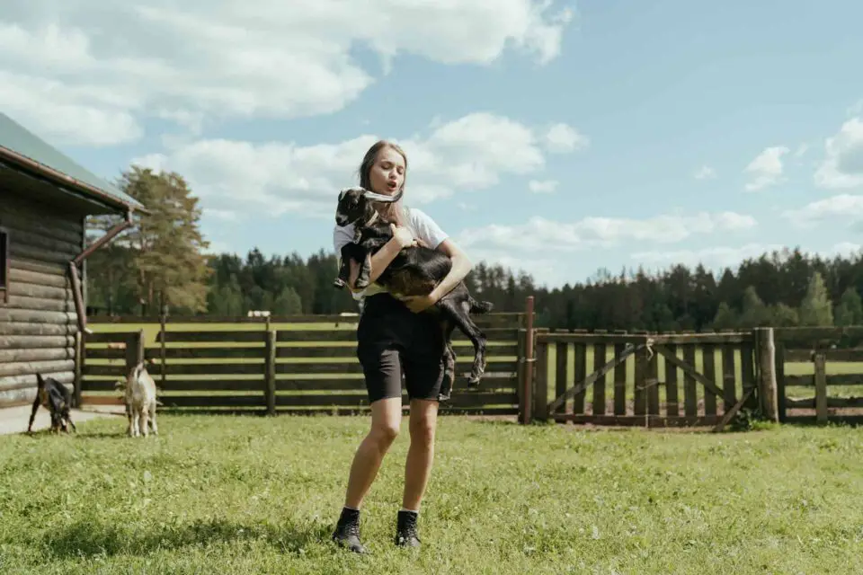 Person holding baby goat on a farm field.
