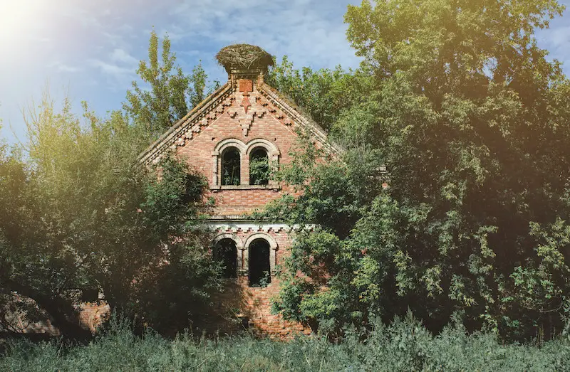 Overgrown brick house with trees surrounding it.