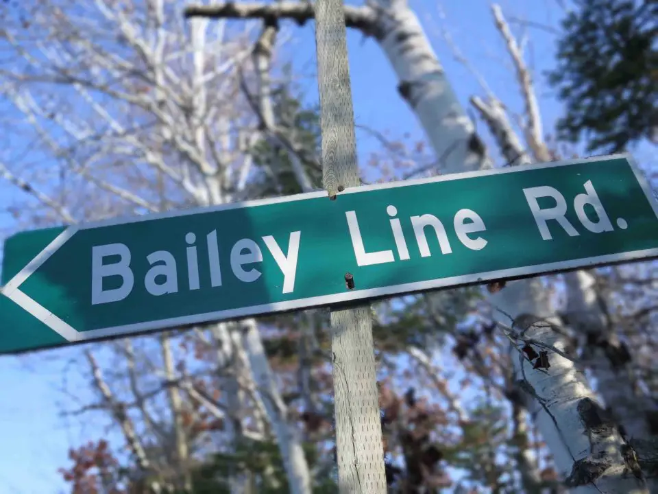 This sign shows the name of the rural road where I live, and the name of my website