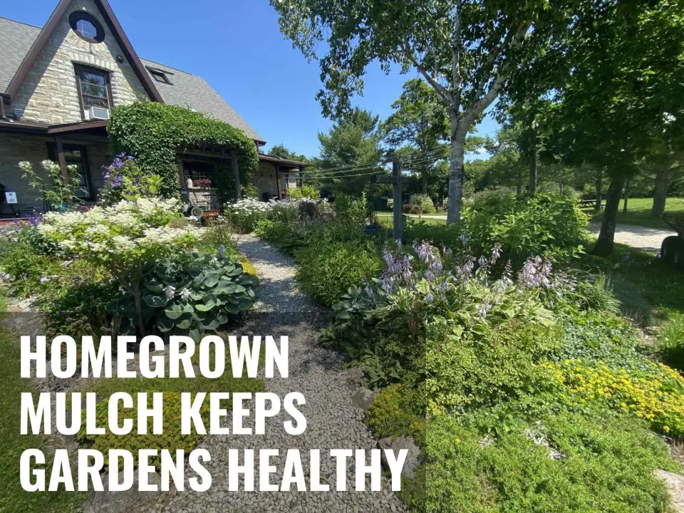 home garden