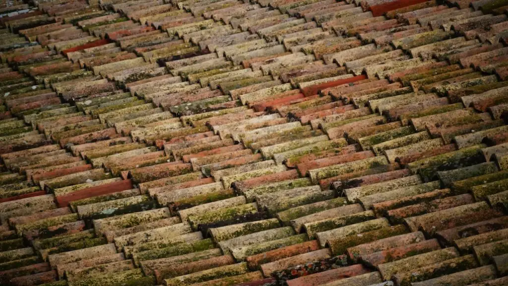 Moss-covered clay roof tiles, rustic and weathered.