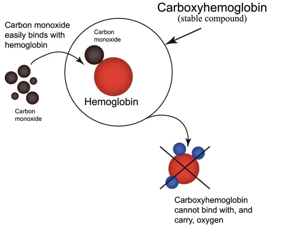 carbon monoxide