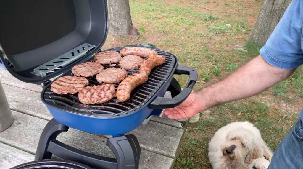 OUTDOOR GRILL REVIEW See How a Napoleon Travel Grill Works After 6