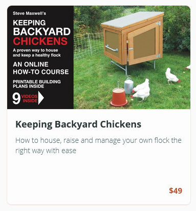 Online course for raising backyard chickens, $49.