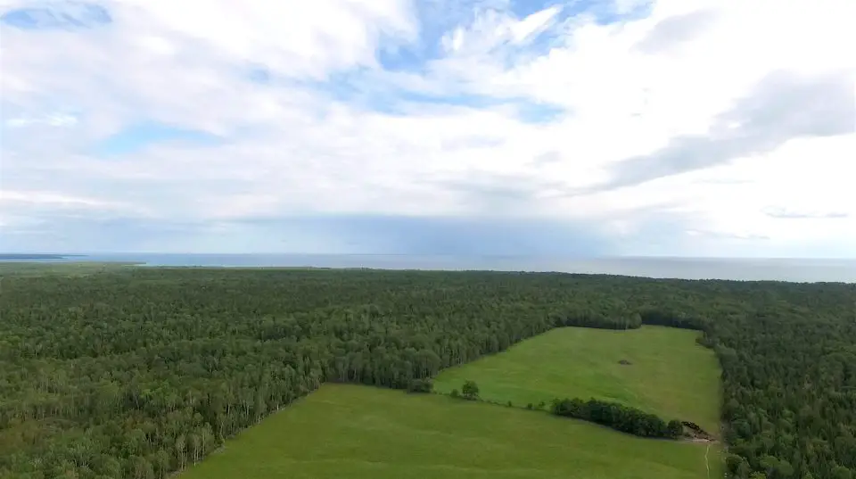 Aerial view of forest and ocean under cloudy sky.