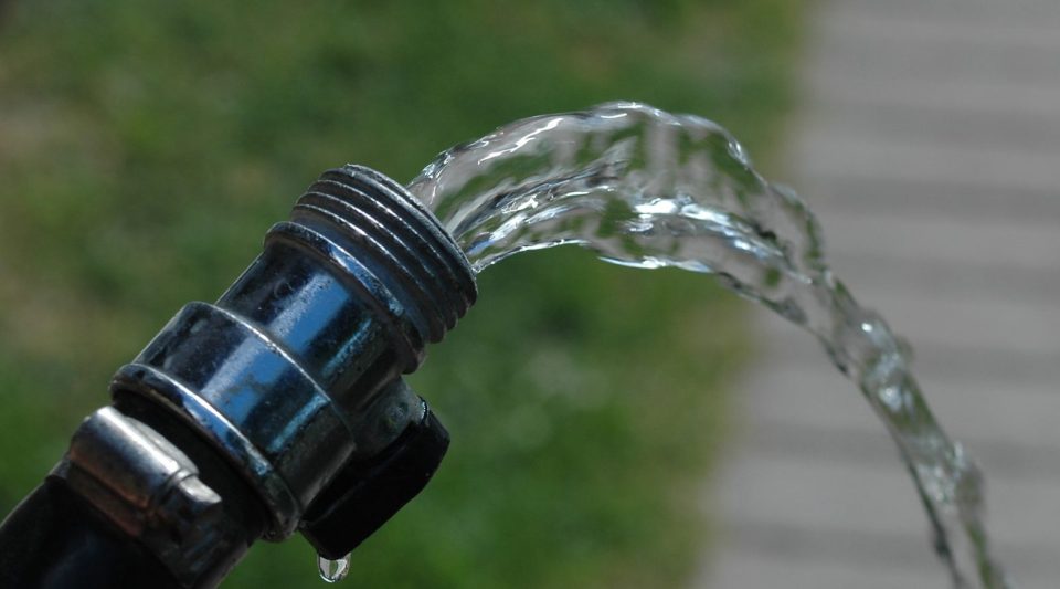 Water flowing from a garden hose outdoors.