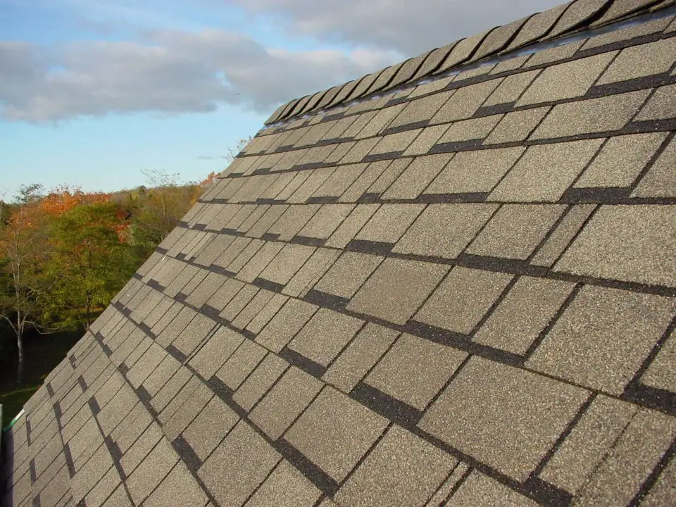 Asphalt shingle roof with autumn trees background.