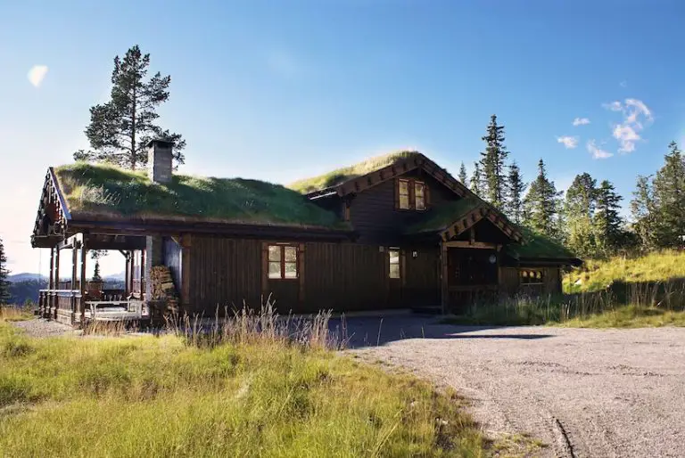 Countryside cabin with grass-covered roof and surrounding trees.
