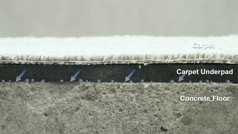 Carpet layers: carpet, underpad, concrete floor