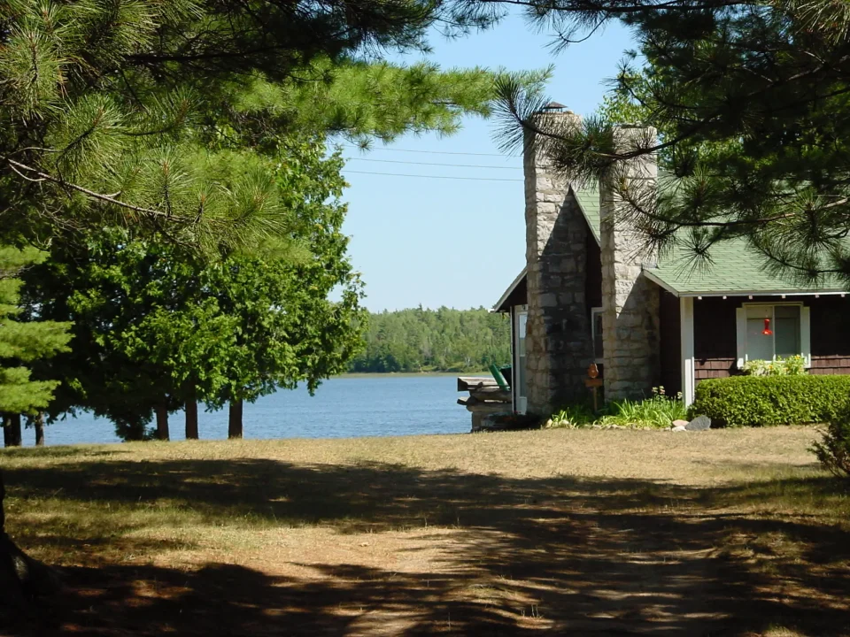 Rustic cabin by lake with pine trees